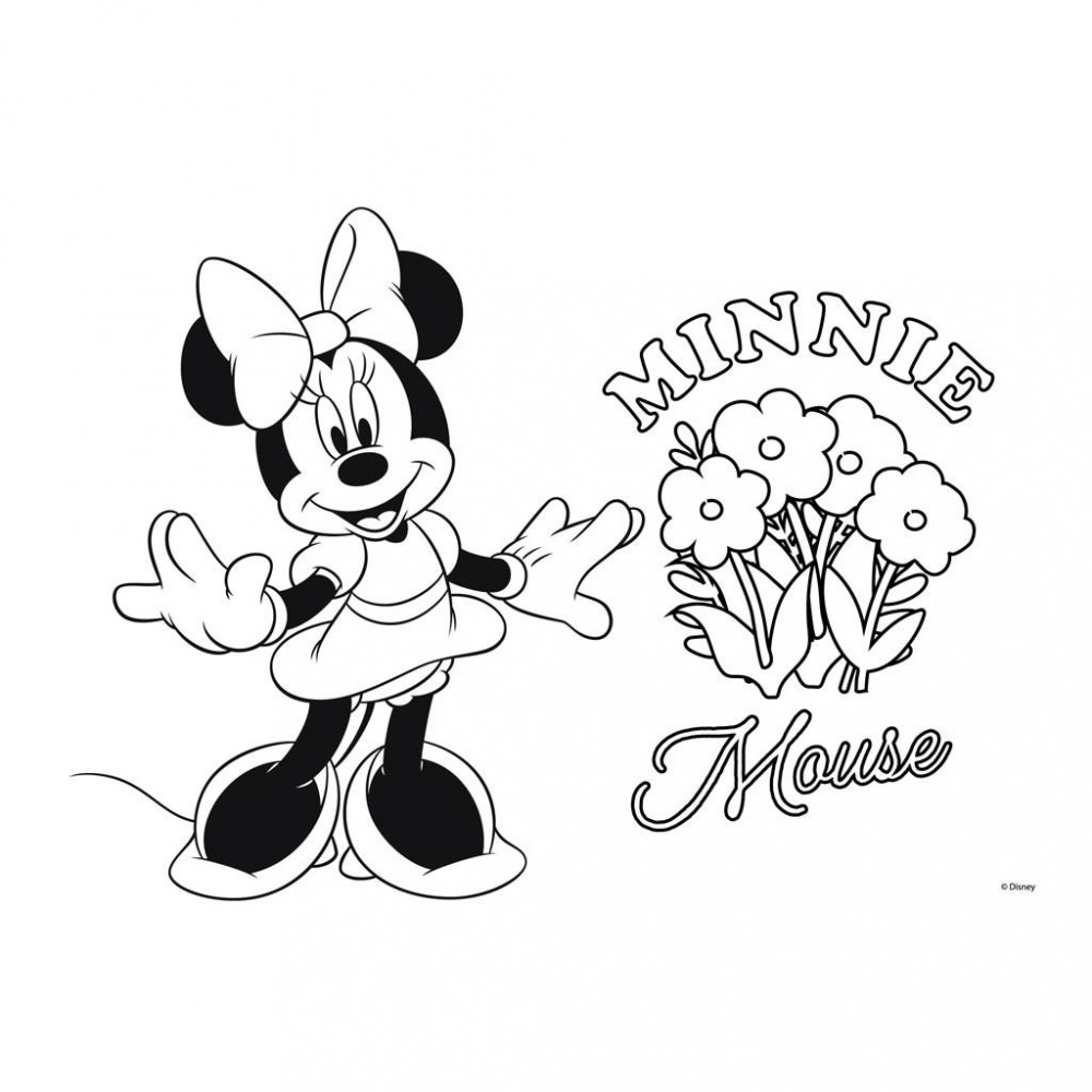 Μπλοκ Ζωγραφικής Minnie Mouse 40φυλ
