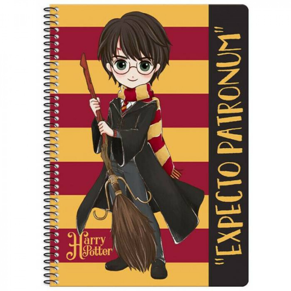 Τετράδιο σπιράλ Harry Potter - Hermione 2 θεμάτων 17x25