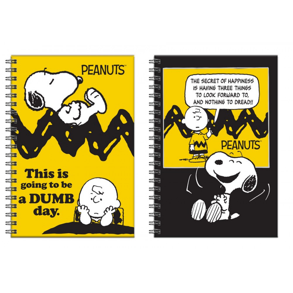 Τετράδιο σπιράλ BMU Peanuts Charlie Brown 2 θεμάτων 17x25 70φ.