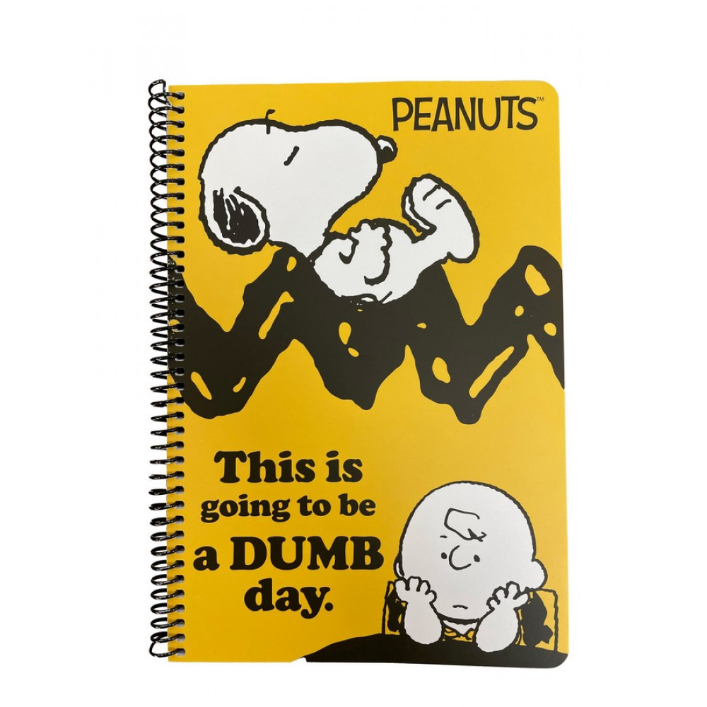 Τετράδιο σπιράλ BMU Peanuts Charlie Brown 2 θεμάτων 17x25 70φ.