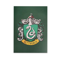 Σημειωματάριο Harry Potter Slytherin A5 120σελ.