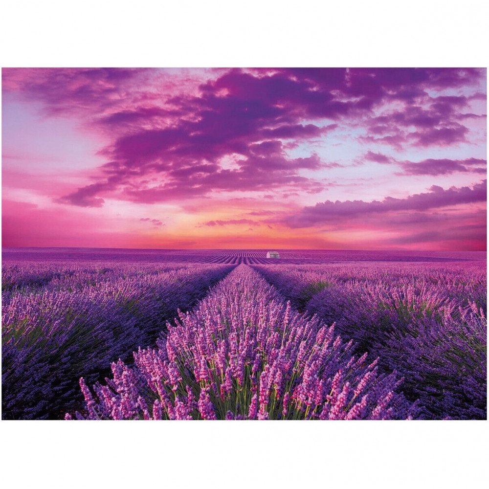 Παζλ Clementoni Lavender Field 1000 τεμ