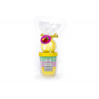 Σετ Tri-Coastal soufle scrub and bath bomb Mango 320g