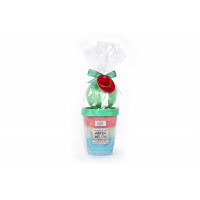 Σετ Tri-Coastal soufle scrub and bath bomb Watermelon 320g